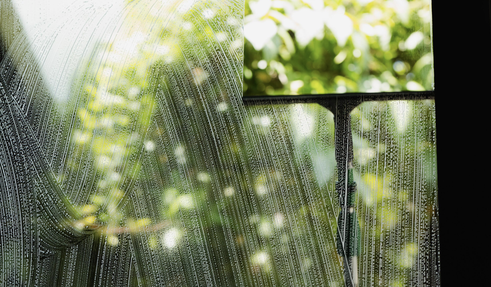 Window Cleaning